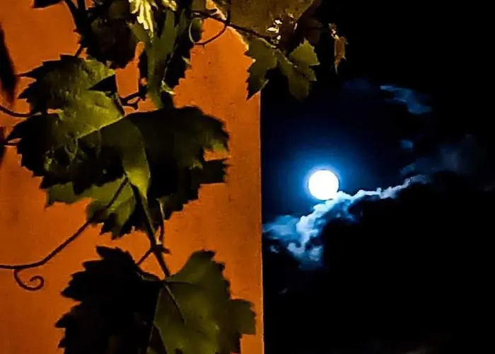 Vigna Grande Отель типа 